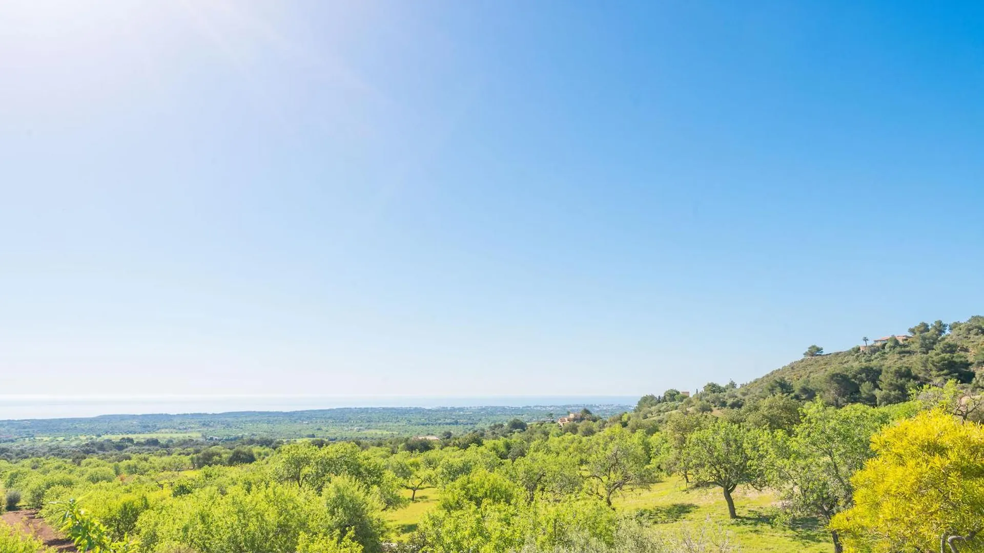 Vila Sa Roca Blanca S'Horta